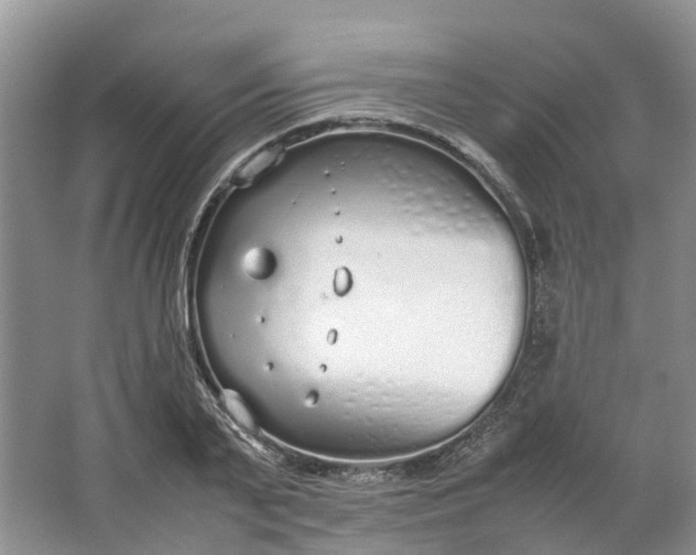 X0000064730791200602241716