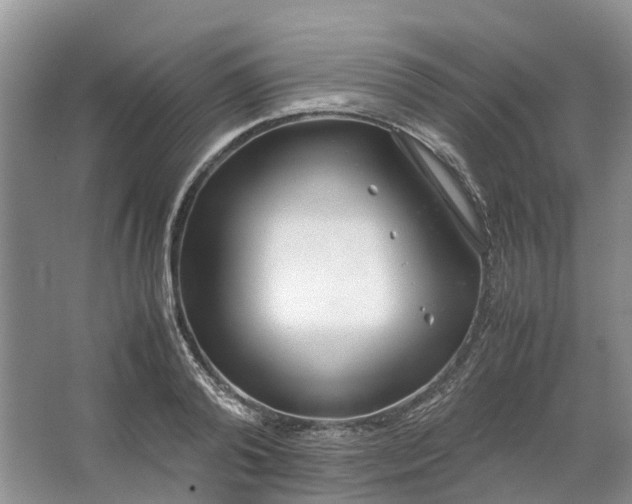 X0000064730792200602241716