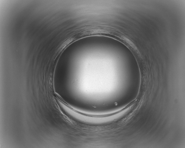 X0000064730793200602241716