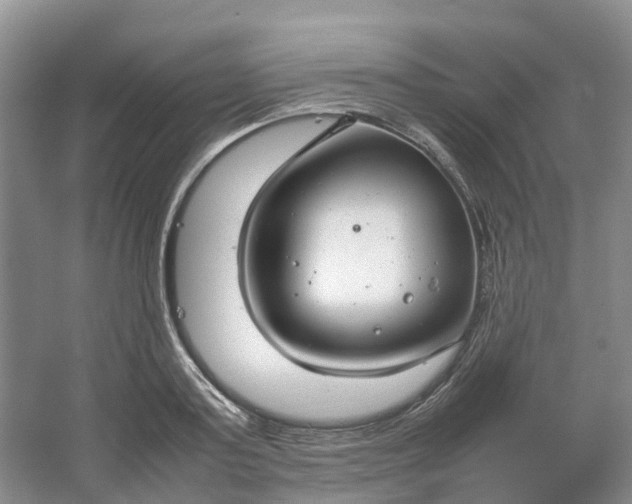 X0000064730795200602241716