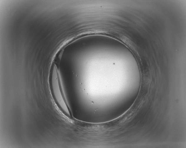 X0000064730797200602241716