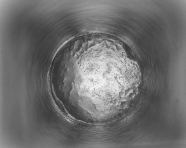 X0000064730798200602241716