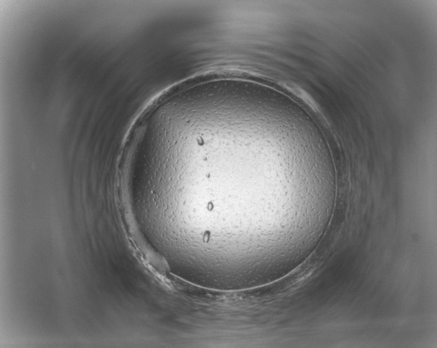 X0000064730799200602241716