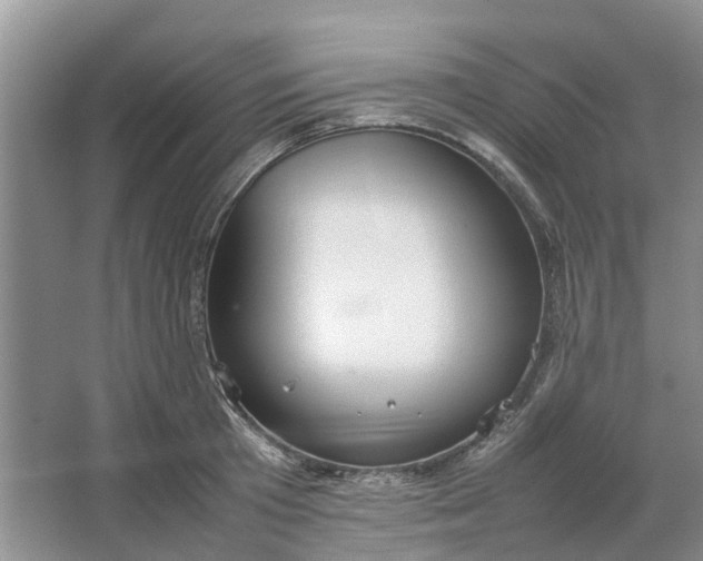 X0000064730801200602241716