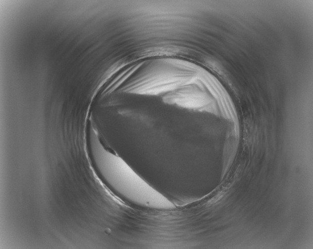 X0000064730802200602241716