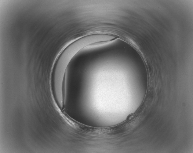 X0000064730803200602241716