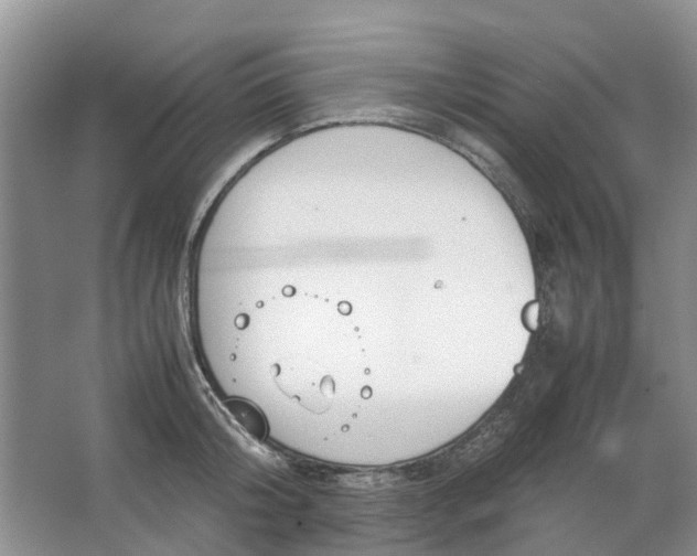 X0000064730804200602241716