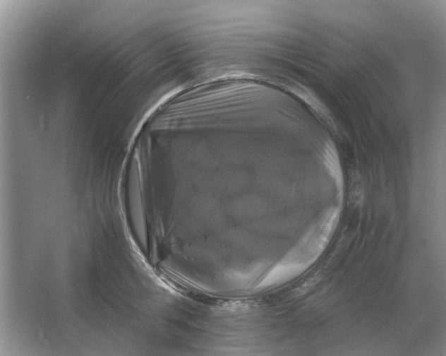 X0000064730806200602241716