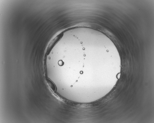 X0000064730808200602241716