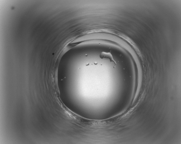 X0000064730809200602241716