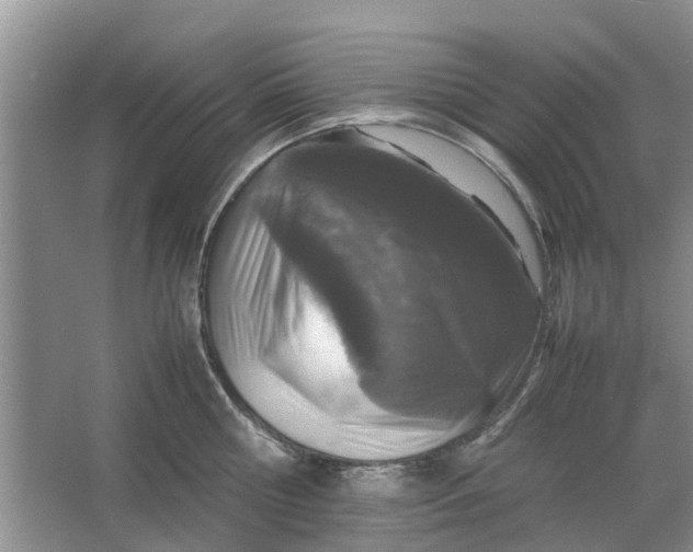 X0000064730810200602241716