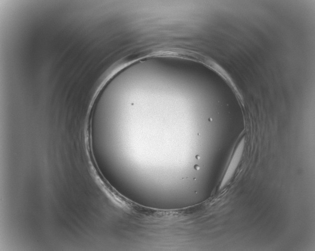 X0000064730811200602241716