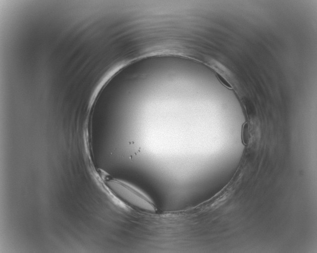 X0000064730812200602241716