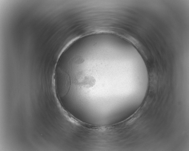 X0000064730814200602241716