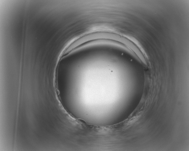 X0000064730815200602241716