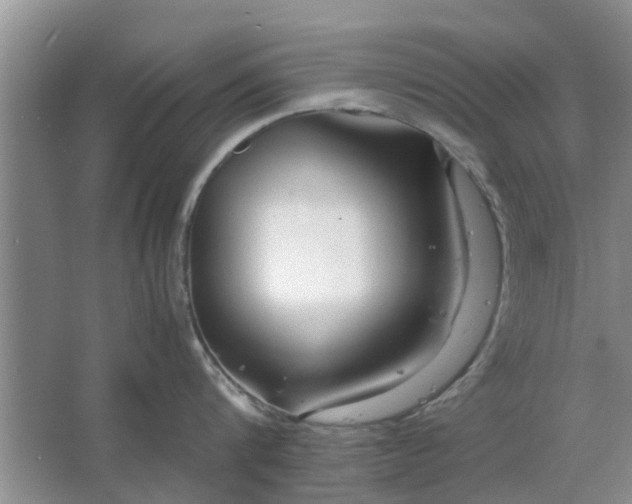 X0000064730816200602241716