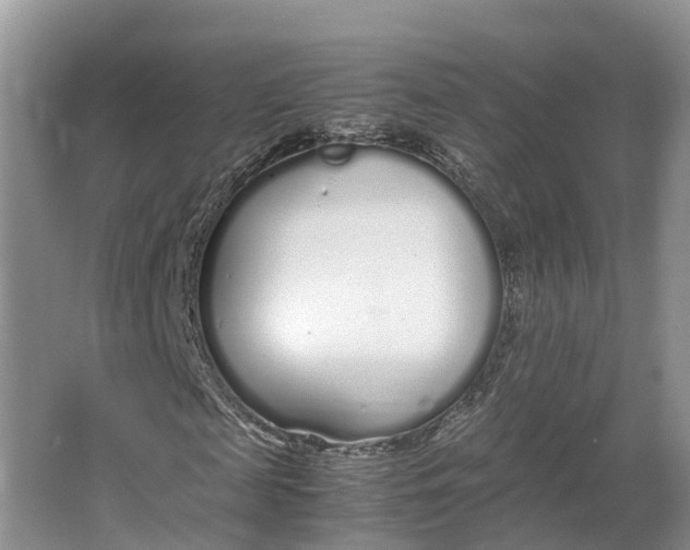 X0000064730817200602241714