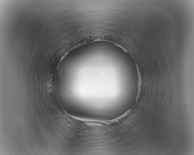 X0000064730818200602241714