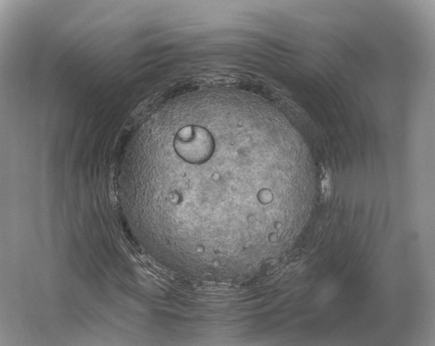 X0000064730819200602241714