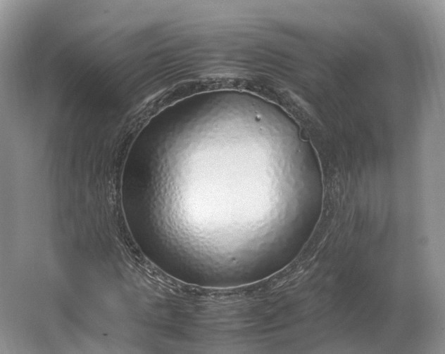 X0000064730821200602241715