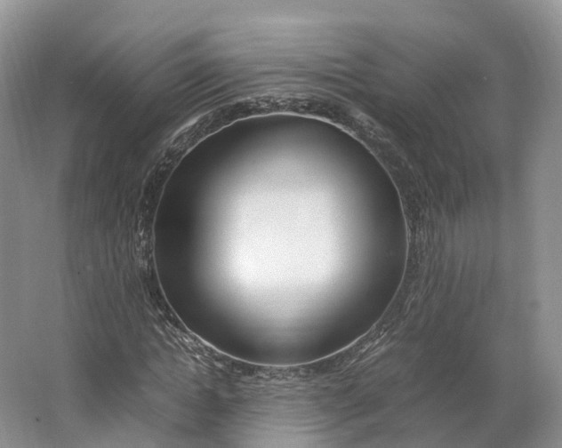 X0000064730822200602241715