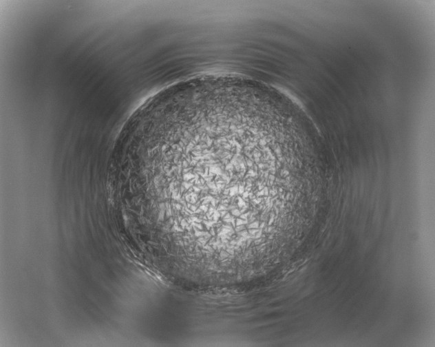 X0000064730823200602241715