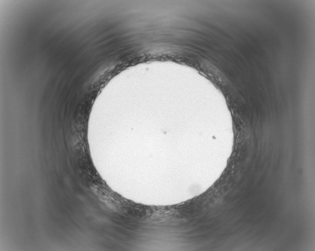 X0000064730824200602241715