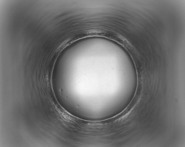 X0000064730825200602241715