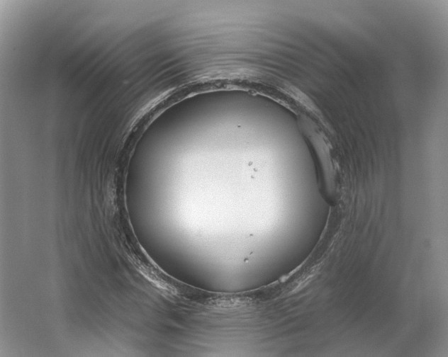 X0000064730826200602241715