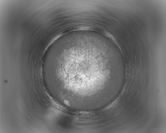 X0000064730827200602241715