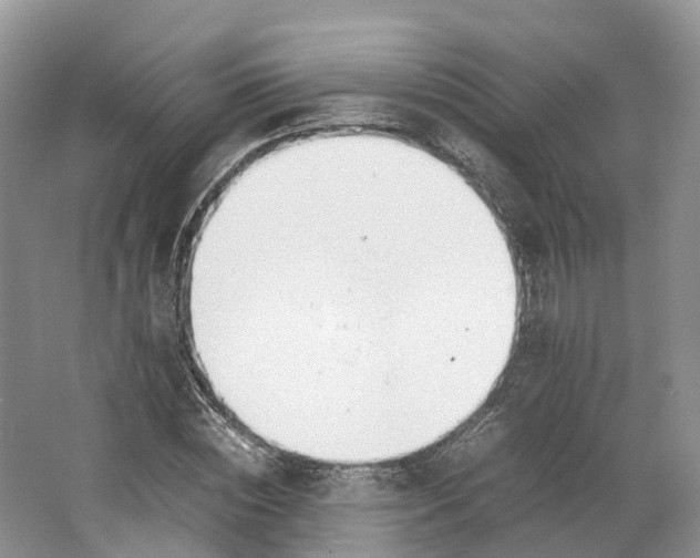 X0000064730828200602241715