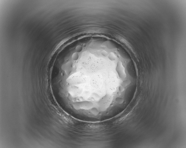 X0000064730829200602241715