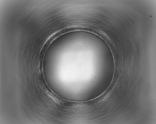 X0000064730830200602241715