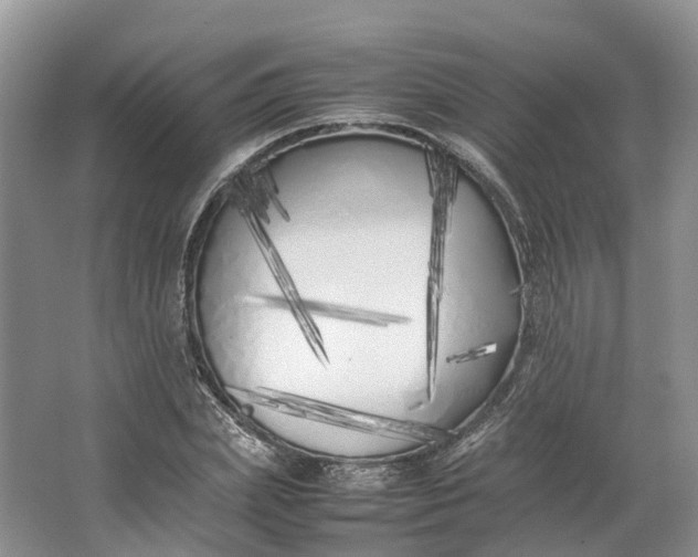 X0000064730831200602241715