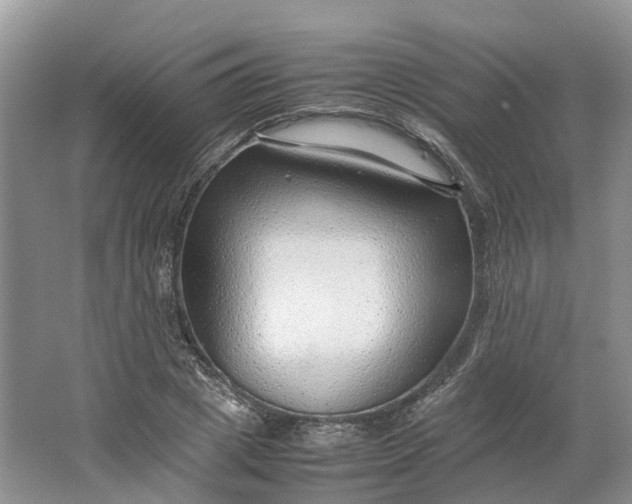 X0000064730833200602241715