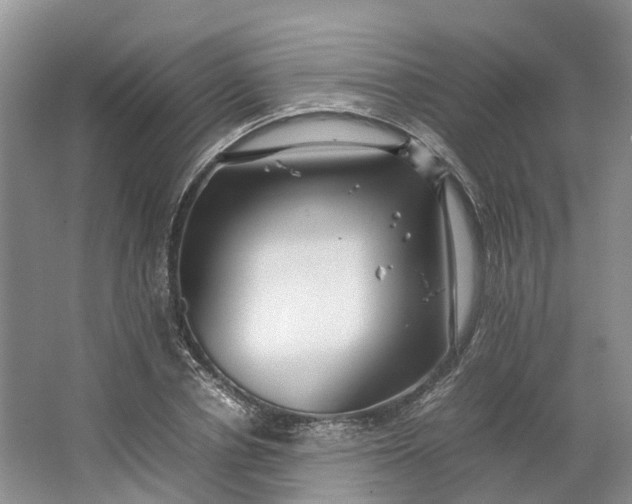 X0000064730834200602241715