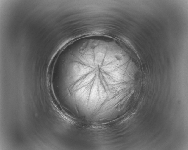 X0000064730835200602241715