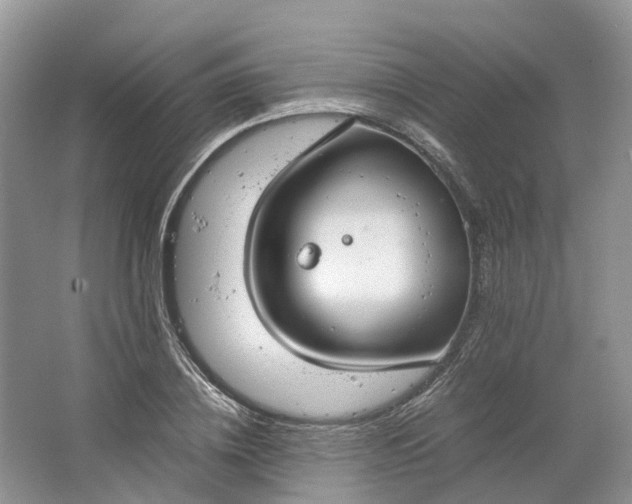 X0000064730836200602241715