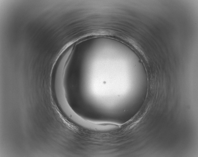 X0000064730837200602241715