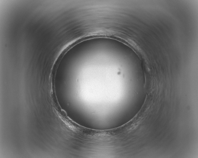 X0000064730838200602241715