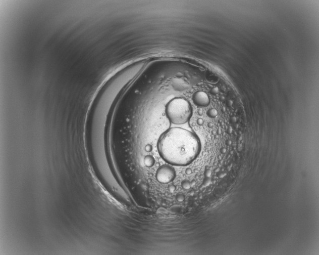 X0000064730839200602241715