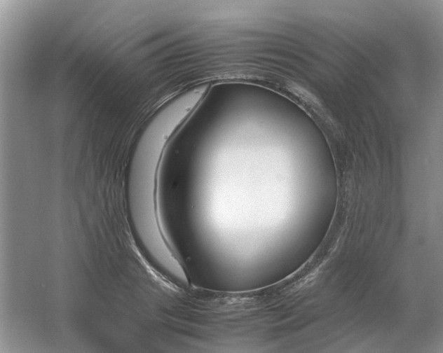 X0000064730841200602241715