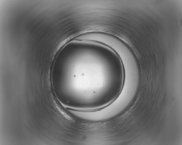 X0000064730842200602241715