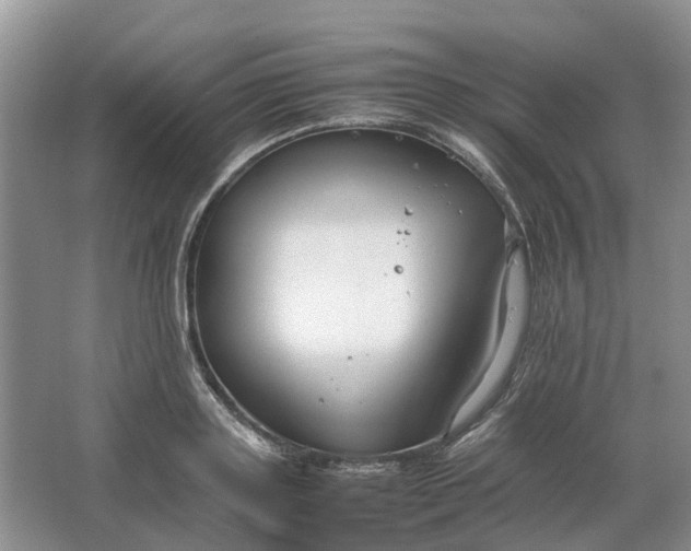 X0000064730843200602241715