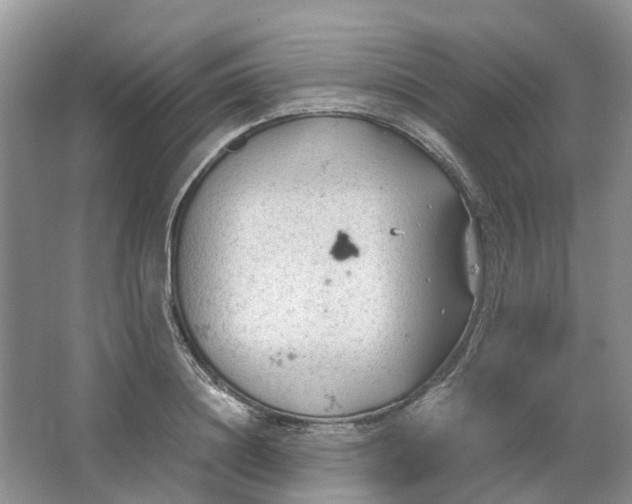 X0000064730844200602241715