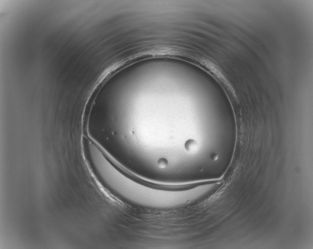 X0000064730845200602241715