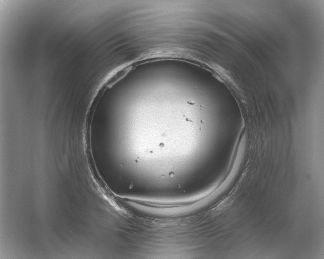 X0000064730846200602241715