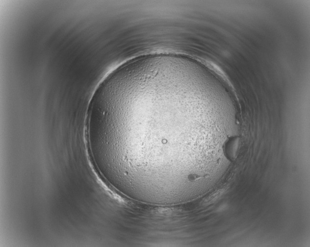 X0000064730847200602241715