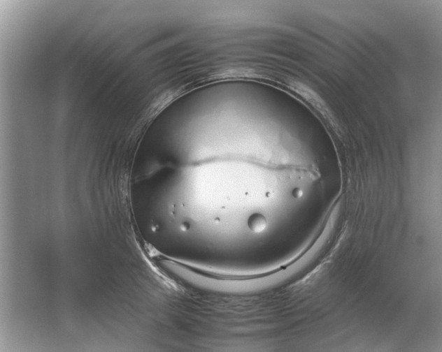 X0000064730849200602241715