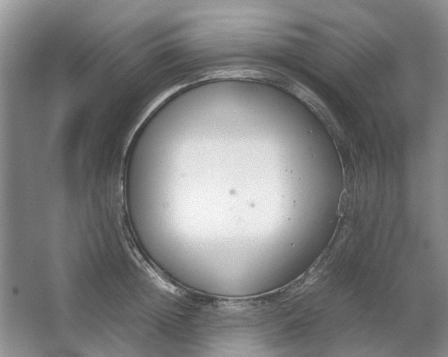 X0000064730852200602241715